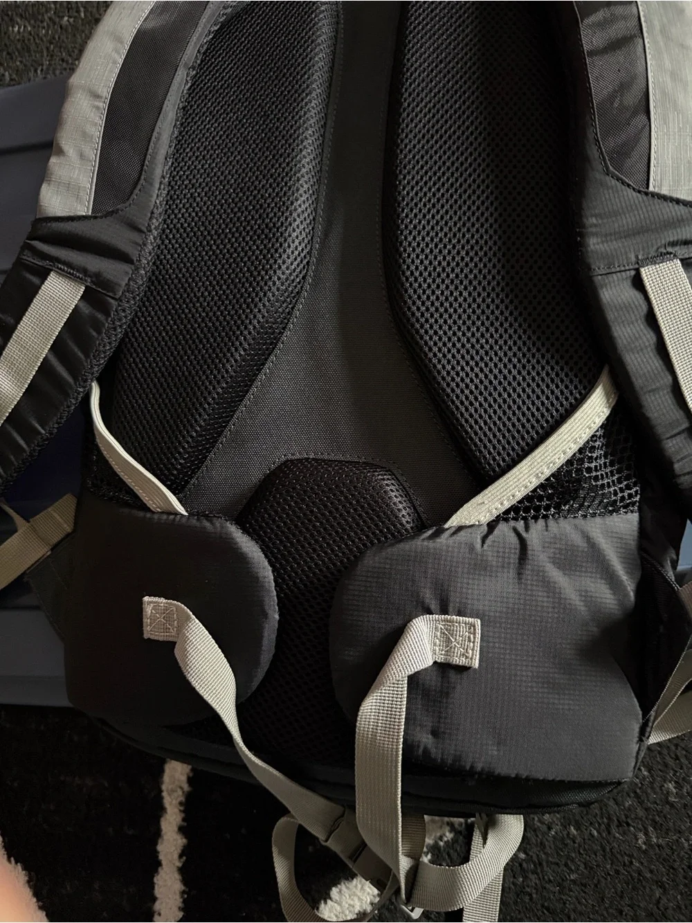 Eddie Bauer Highpoint Ski Jacket in Black with Gray Mesh